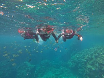 武藤潜水に投稿された画像（2022/5/30）