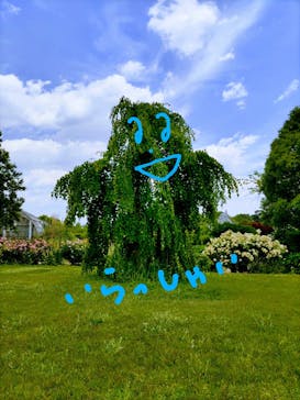 松阪農業公園ベルファームに投稿された画像（2022/5/30）