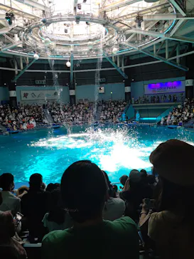 マクセル アクアパーク品川に投稿された画像（2022/5/30）