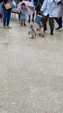 大分マリーンパレス水族館 「うみたまご」に投稿された画像（2022/5/30）