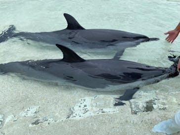 大分マリーンパレス水族館 「うみたまご」に投稿された画像（2022/5/30）