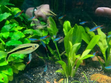 サンシャイン水族館に投稿された画像（2022/5/30）