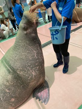 ゼロ距離水族館 伊勢シーパラダイスに投稿された画像（2022/5/30）