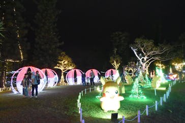 美らヤシパークオキナワ・東南植物楽園に投稿された画像（2022/5/30）