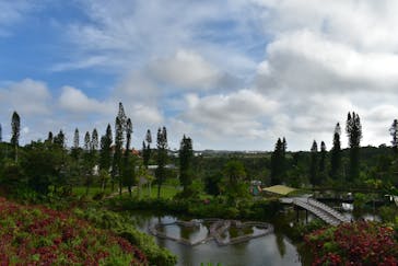 美らヤシパークオキナワ・東南植物楽園に投稿された画像（2022/5/30）