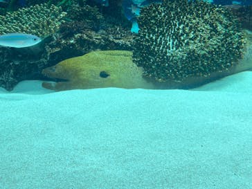 サンシャイン水族館に投稿された画像（2022/5/30）