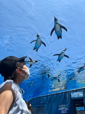 サンシャイン水族館に投稿された画像（2022/5/30）