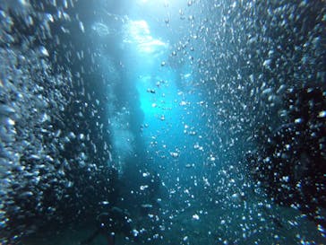 武藤潜水に投稿された画像（2022/5/30）