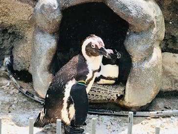 サンシャイン水族館に投稿された画像（2022/5/30）