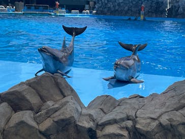 名古屋港水族館に投稿された画像（2022/5/30）