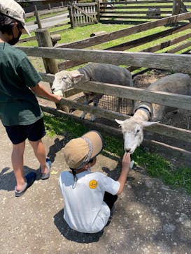 伊香保グリーン牧場に投稿された画像（2022/5/30）
