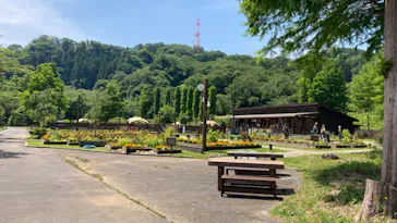 わんダフルネイチャーヴィレッジに投稿された画像（2022/5/30）