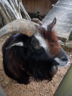 沖縄こどもの国に投稿された画像（2022/5/30）