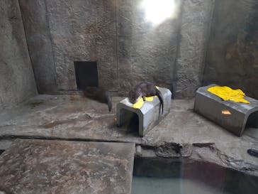 沖縄こどもの国に投稿された画像（2022/5/30）