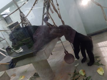 沖縄こどもの国に投稿された画像（2022/5/30）