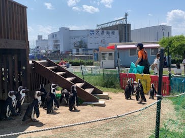 名古屋港水族館に投稿された画像（2022/5/30）