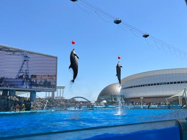 名古屋港水族館に投稿された画像（2022/5/30）
