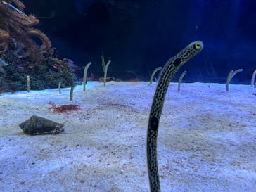 名古屋港水族館に投稿された画像（2022/5/30）