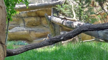 那須どうぶつ王国に投稿された画像（2022/5/30）