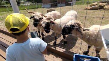 那須どうぶつ王国に投稿された画像（2022/5/30）