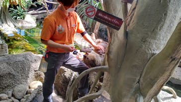 那須どうぶつ王国に投稿された画像（2022/5/30）