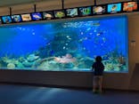 しながわ水族館に投稿された画像（2022/5/30）