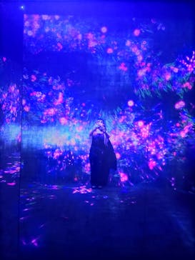 森ビル デジタルアート ミュージアム：エプソン チームラボボーダレスに投稿された画像（2022/5/30）