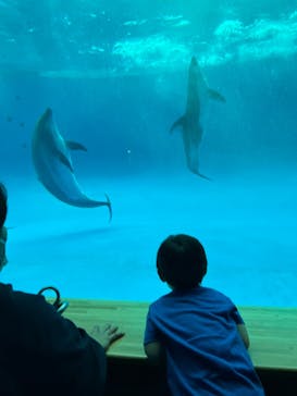 アクアワールド茨城県大洗水族館に投稿された画像（2022/5/30）