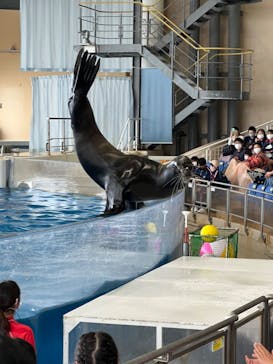 アクアワールド茨城県大洗水族館に投稿された画像（2022/5/30）