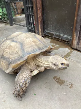 神戸どうぶつ王国に投稿された画像（2022/5/30）