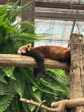 神戸どうぶつ王国に投稿された画像（2022/5/30）