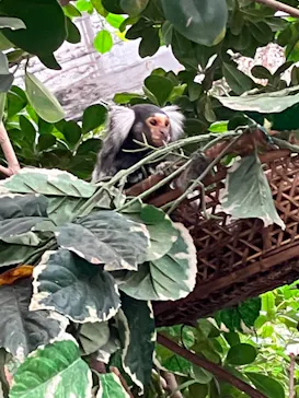 神戸どうぶつ王国に投稿された画像（2022/5/30）