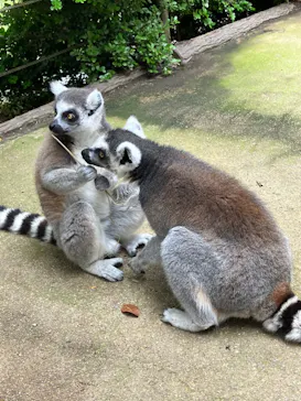 神戸どうぶつ王国に投稿された画像（2022/5/30）