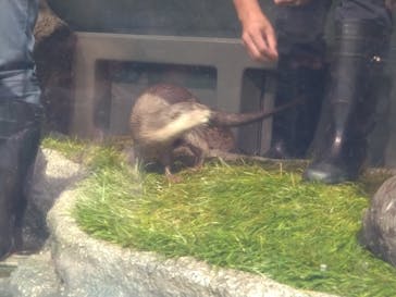 サンシャイン水族館に投稿された画像（2022/5/30）