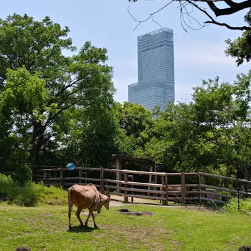 天王寺動物園に投稿された画像（2022/5/30）
