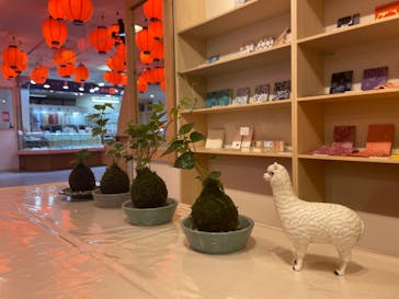 伊勢夫婦岩めおと横丁　めおと岩アクティビティに投稿された画像（2022/5/30）