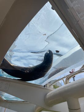 サンシャイン水族館に投稿された画像（2022/5/30）