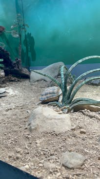 サンシャイン水族館に投稿された画像（2022/5/30）