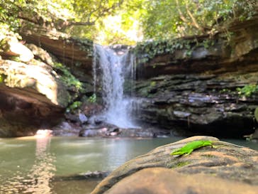 西表島 ADVENTURE PiPi（アドベンチャーピピ）に投稿された画像（2022/5/30）