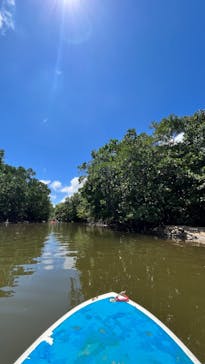 西表島 ADVENTURE PiPi（アドベンチャーピピ）に投稿された画像（2022/5/30）