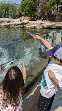 神戸どうぶつ王国に投稿された画像（2022/5/30）