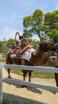 神戸どうぶつ王国に投稿された画像（2022/5/30）