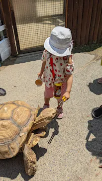 神戸どうぶつ王国に投稿された画像（2022/5/30）