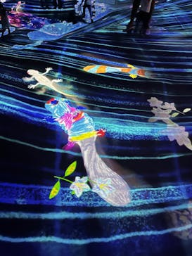 森ビル デジタルアート ミュージアム：エプソン チームラボボーダレスに投稿された画像（2022/5/30）