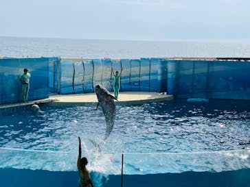 新江ノ島水族館に投稿された画像（2022/5/30）