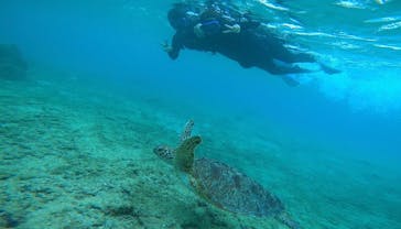 宮古島 ADVENTURE PiPi（ミヤコジマ アドベンチャー ピピ）に投稿された画像（2022/5/30）