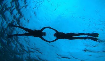 宮古島 ADVENTURE PiPi（ミヤコジマ アドベンチャー ピピ）に投稿された画像（2022/5/30）