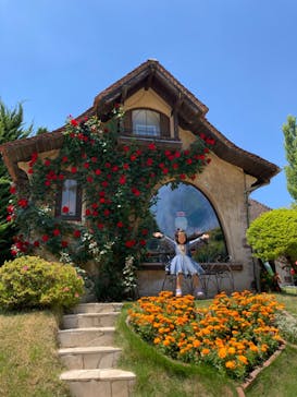 河口湖 音楽と森の美術館に投稿された画像（2022/5/31）