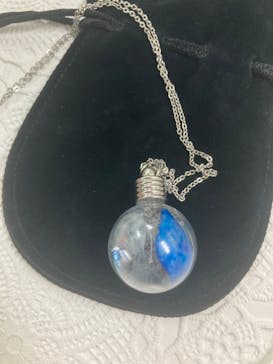 ずこうしつ〜sugamo〜に投稿された画像（2022/5/31）