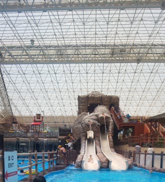 東京サマーランドに投稿された画像（2022/5/30）